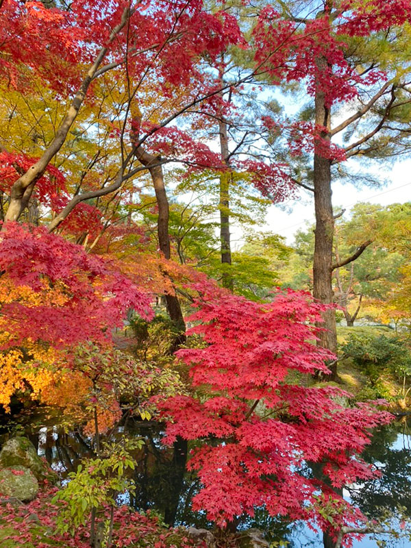 清水園